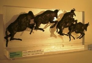 "Wildebeest Run"