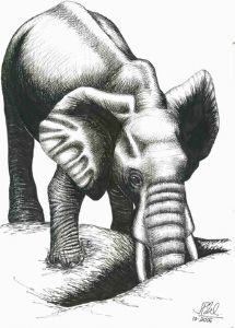 "An Elephant Digging"