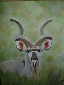 "Majestic Kudu"