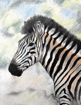 "Zebra"