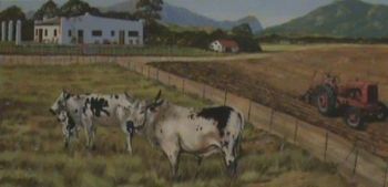 "On The Farm - Cattle"