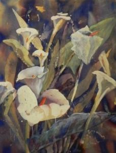 "Arums - STOLEN"