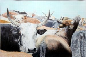 "The Herd"