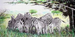 "Zebra Group"