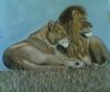"Lions of Africa"