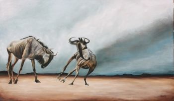 "Wildebeest Sparring"