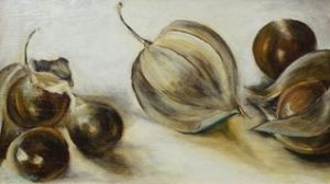 "Cape Gooseberries"