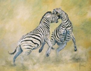 "Zebra Mock Fight"