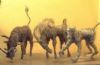 "Animals group"