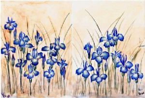 "Field Irises"