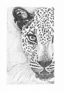 "Leopard (2 of Big 5)"
