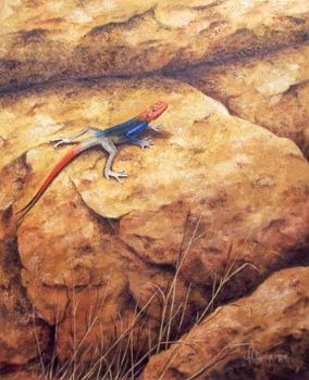 "Agama Lizard"