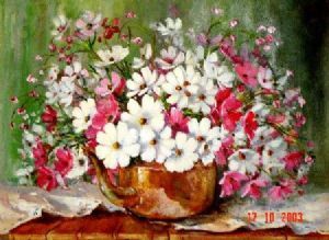 "Cosmos in Copper Kettle"