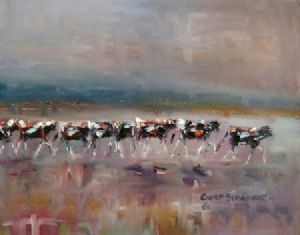 "Back to the Kraal"