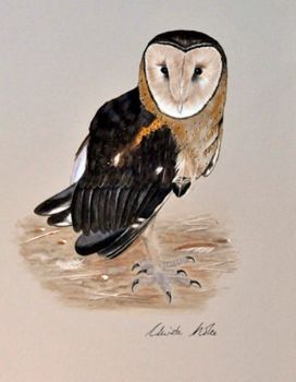 "Grass Owl"