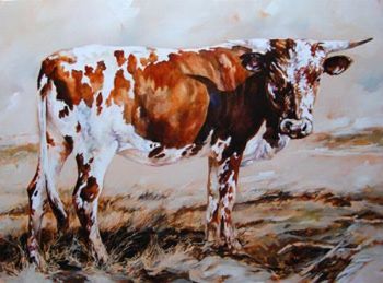 "Rust Nguni"