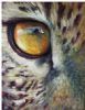"Golden Eye"