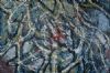 "Abstract-Blue World 2"