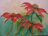 "Pointsettia flowers"