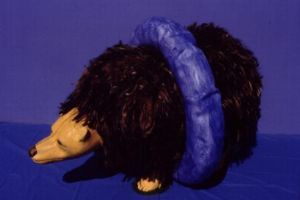 "Bug Bear"