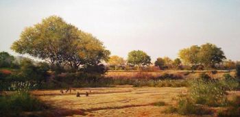 "Mlambane River, Kruger Park"