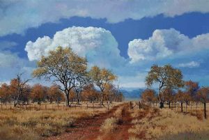 "Grietjie Private Nature Reserve, Great Kruger Pa"