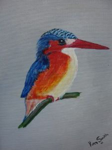 "Malachite Kingfisher"