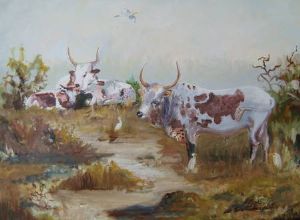 "Nguni Cattle with Egrets"