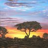 "bushfield sunset"