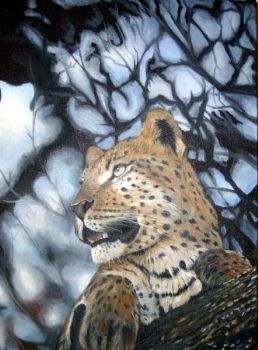 "Leopard in Tree (Blue)"