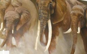 "Charging Elephants"
