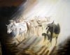 "Nguni Herd"