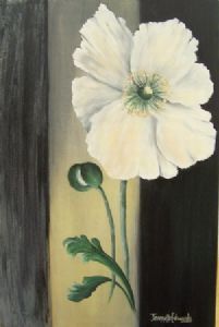 "Poppy on Grey"