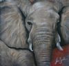 "Elephant Close-up"