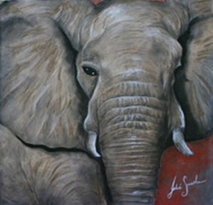 "Elephant Close-up"
