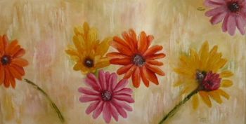 "Daisy garden"