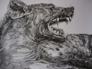 "Hyena Laughing"