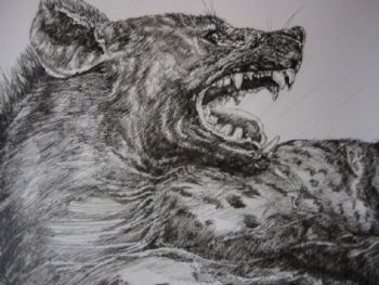 "Hyena Laughing"