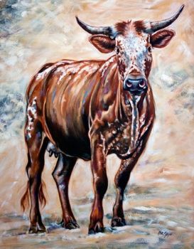 "Nguni"