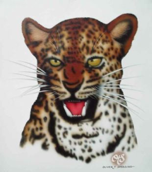 "Leopard 1"