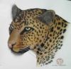 "Leopard 3"