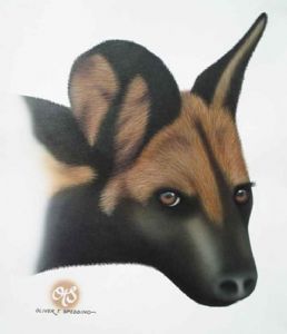 "Wild Dog 1"