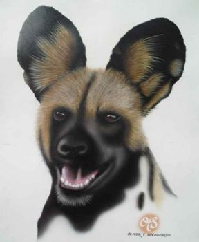 "wild dog2"