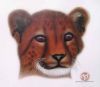 "Young Cheetah"