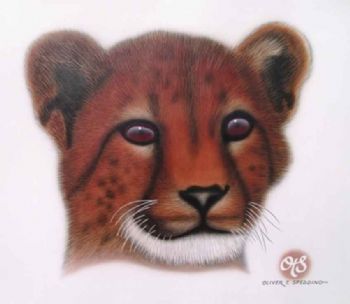 "Young Cheetah"