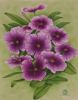 "Purple Violets"