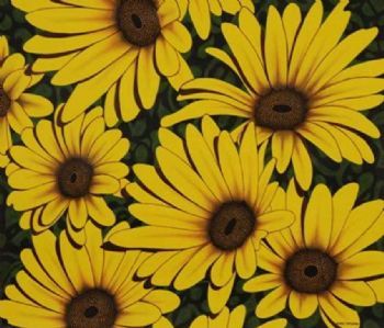 "Daisies 6"