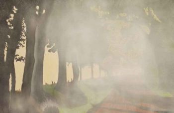 "misty lane"