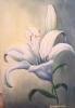 "Misty Lily"