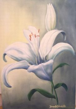 "Misty Lily"